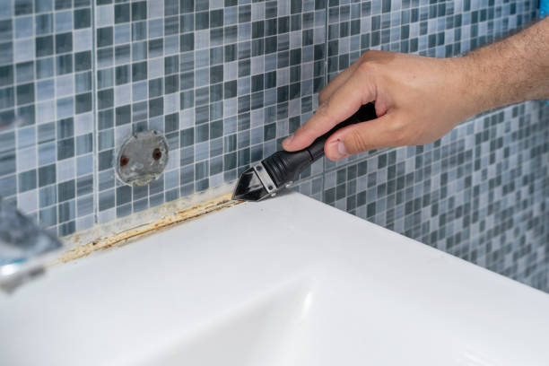 Mold Removal and Inspection in Dortches, NC