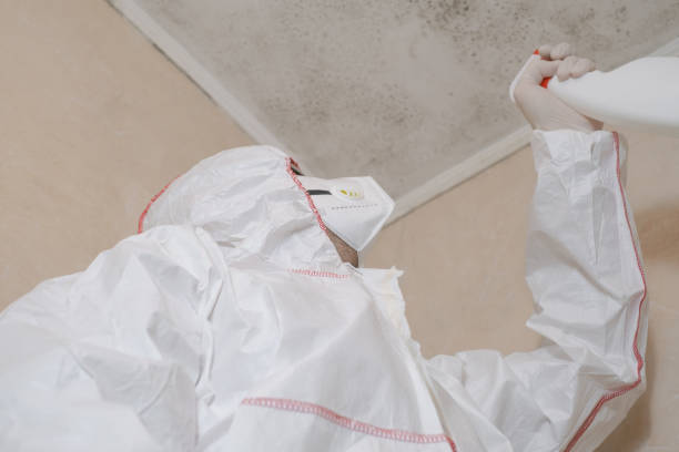Best Home Mold Removal  in Dortches, NC