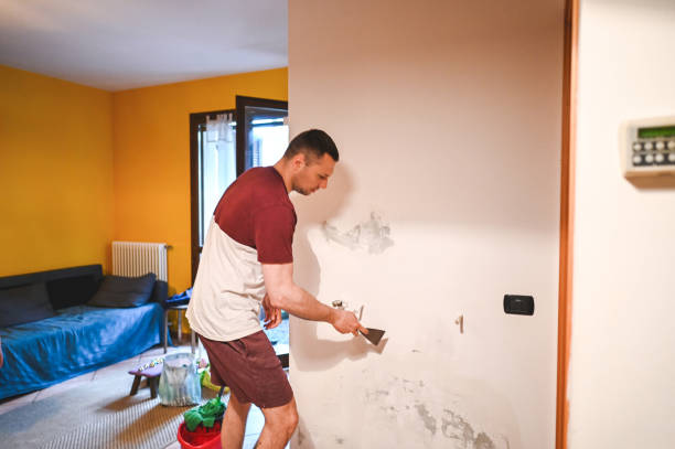 Best Commercial Mold Removal  in Dortches, NC