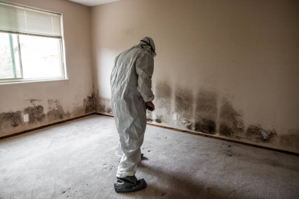 Best Crawl Space Mold Removal  in Dortches, NC